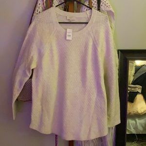 LOFT Cream Knot Sweater